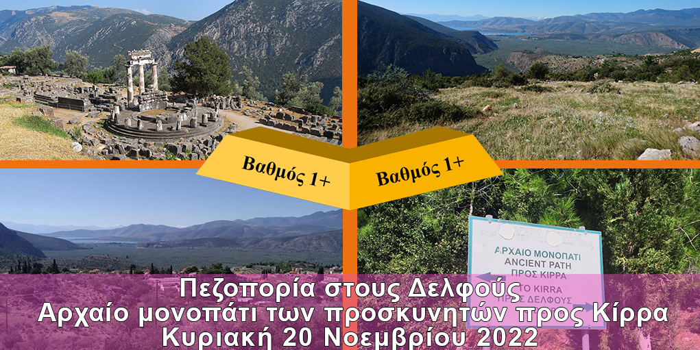 Main Delphi 20-11-2022